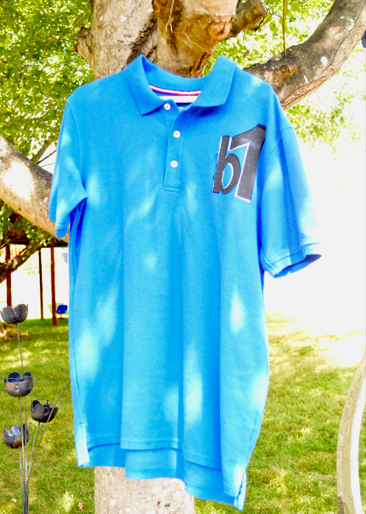 b1 x Dragons Arch Polo